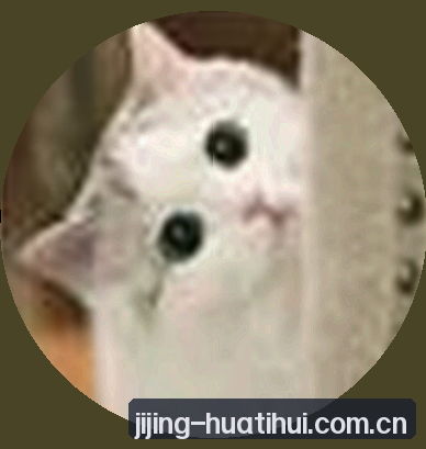 赵敏